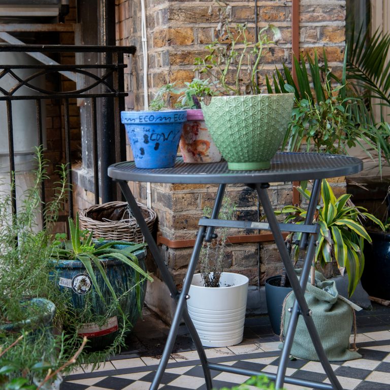 plant pots