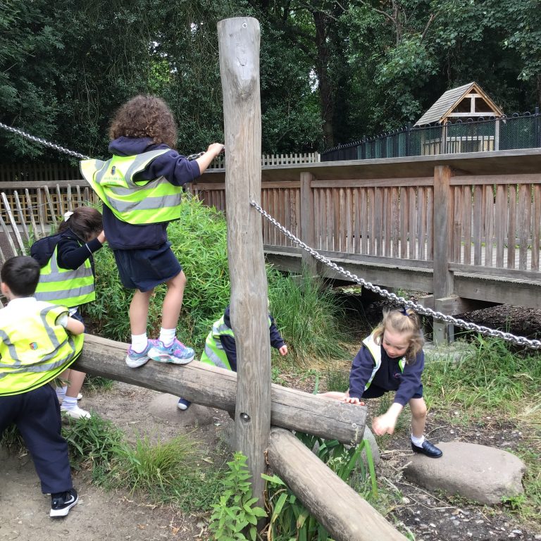 A group of students in hi-viz jackets climbing across different parts of an obstacle course