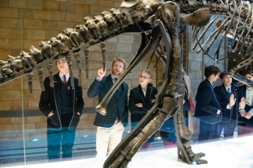 Students and teachers looking at a skeleton from a dinosaur