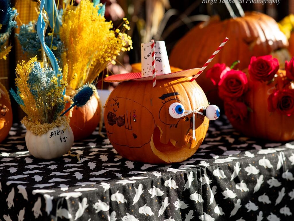 Pumpkin Palooza