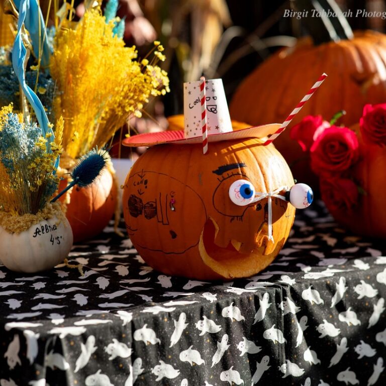 Pumpkin Palooza